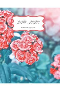 2019 - 2020 18 Month Planner; Red Flowers