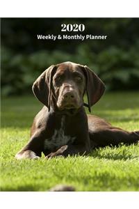 2020 Weekly and Monthly Planner
