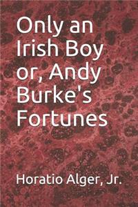 Only an Irish Boy or, Andy Burke's Fortunes