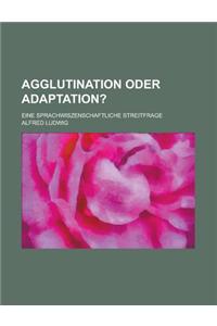 Agglutination Oder Adaptation?; Eine Sprachwiszenschaftliche Streitfrage