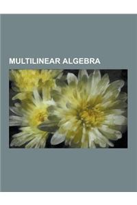 Multilinear Algebra: Tensor Product, Bilinear Map, Cross Product, Bivector, Exterior Algebra, Paravector, Plucker Coordinates, Hyperdetermi