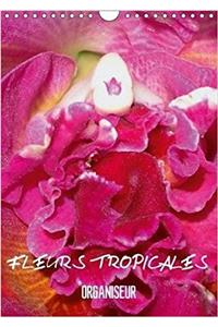 Fleurs Tropicales / Organiseur 2018