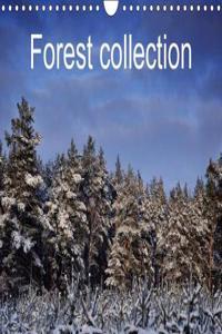 Forest Collection 2018