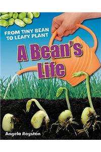Bean's Life