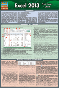 Excel 2013 Pivot Tables & Charts