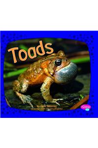 Toads