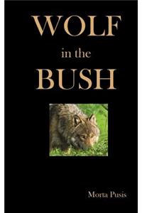 Wolf in the Bush