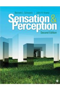 Sensation & Perception