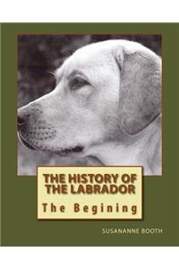The History of the Labrador the Begining