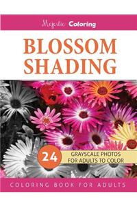 Blossom Shading