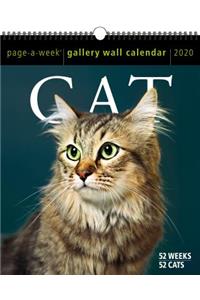 Cat Page-A-Week Gallery Wall Calendar 2020