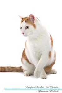 European Shorthair Cat Affirmations Workbook European Shorthair Cat Presents