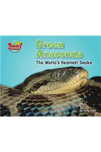 Green Anaconda