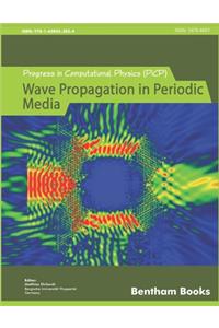 Progress in Computational Physics (PiCP)