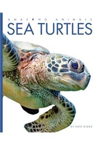 Amazing Animals Sea Turtles