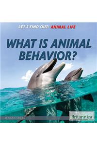 What Is Animal Behavior?