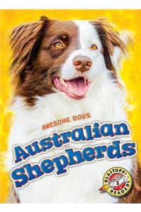 Australian Shepherds