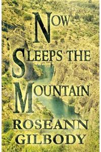 Now Sleeps the Mountain