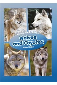 Wolves and Coyotes