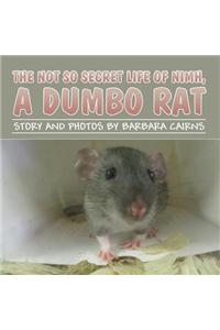 The Not So Secret Life of NIMH, a Dumbo Rat