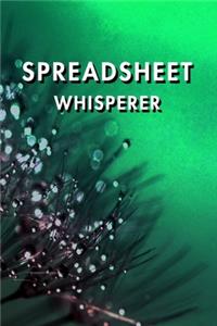 Spreadsheet Whisperer