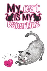 Cool Valentines Day Gifts for Him Boyfriends & Crazy Girlfriend Gifts Valentines Day Cat Card
