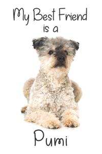 My best Friend is a Pumi