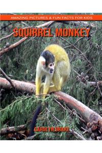 Squirrel monkey