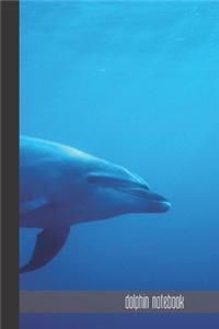 dolphin notebook