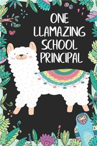 One llamazing School Principal