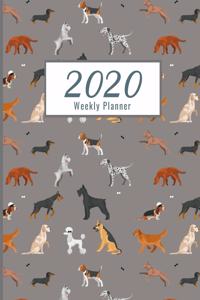 Weekly Planner 2020