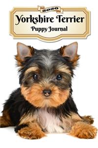 2020 Yorkshire Terrier Puppy Journal