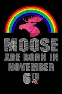 Moose Are Born In November 6th