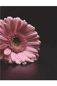 Gerbera Notebook Large Size 8.5 x 11 Ruled 150 Pages