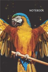 Macaw - Parrot Notebook