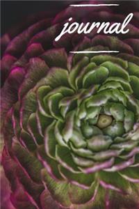 Journal