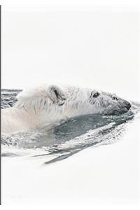 2019 Appointment Calendar