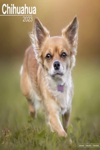 Chihuahua 2023 Wall Calendar