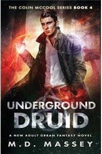 Underground Druid