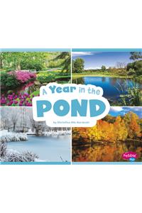 Year in the Pond
