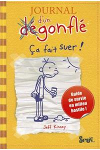 Journal D'Un D'Gonfl', Tome 4. a Fait Suer! T4