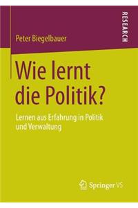 Wie Lernt Die Politik?
