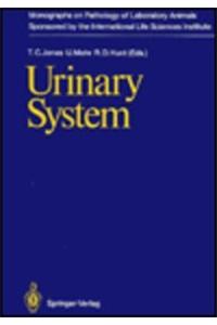 Urinary System