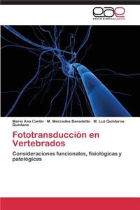 Fototransduccion En Vertebrados