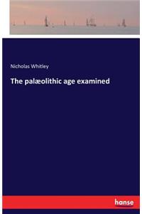 palæolithic age examined