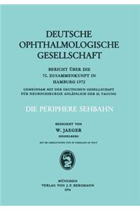 Die Periphere Sehbahn