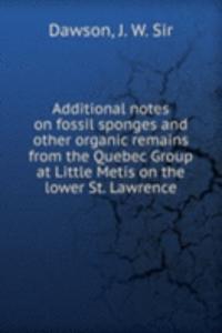 ADDITIONAL NOTES ON FOSSIL SPONGES AND