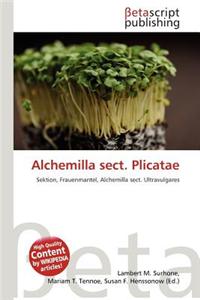 Alchemilla Sect. Plicatae