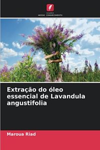 Extração do óleo essencial de Lavandula angustifolia