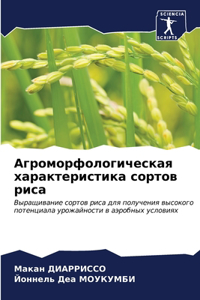 Агроморфологическая характеристика сор&#